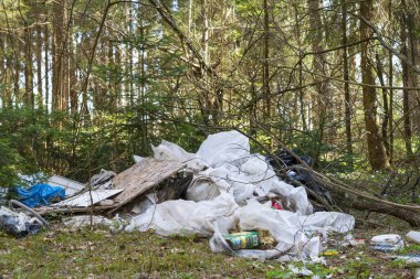 Ekolojik kriz, farklı çöpler ve ormandaki çöpler.