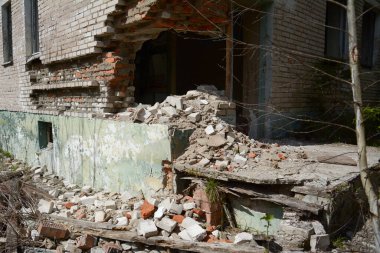 Ormanda terk edilmiş tuğla bir binanın yıkılmış duvarı.