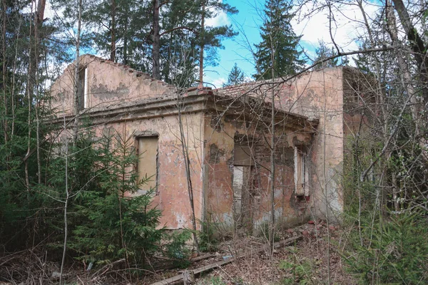 Zřícenina Opuštěné Zchátralé Budovy Lese — Stock fotografie