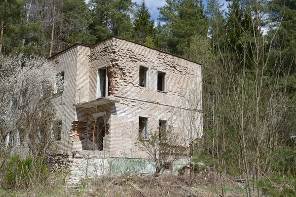 Verlassenes Altes Backsteingebäude Einem Kiefernwald — Stockfoto