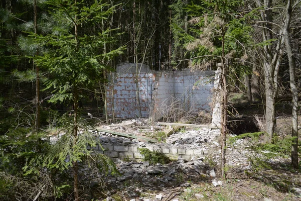 Ruinen Eines Zerstörten Backsteingebäudes Wald — Stockfoto