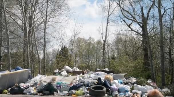 Забруднення довкілля, звалище сміття в лісі. — стокове відео