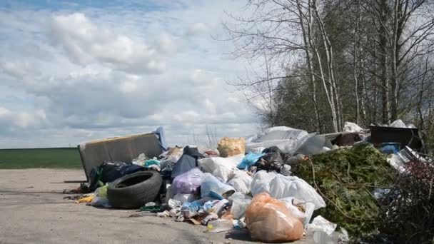 Unerlaubte Müllkippe außerhalb der Stadt — Stockvideo