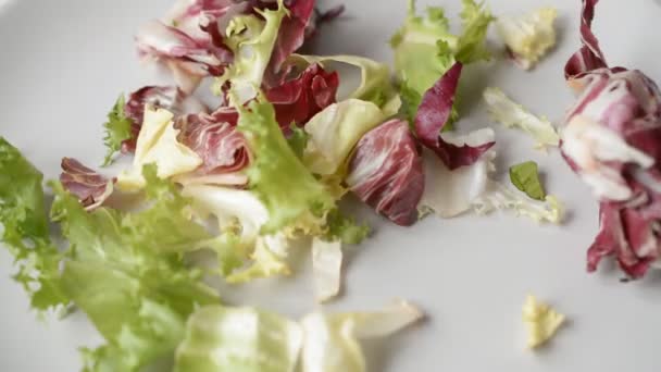Salade végétarienne avec des gouttes de tomates sur une assiette — Video