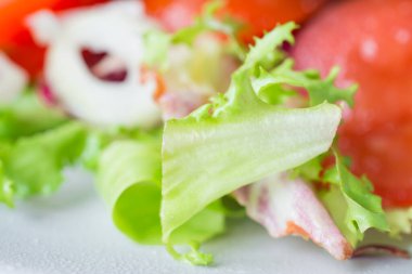 Domatesli taze vejetaryen salatası soğan ve yeşil yapraklar yakın plan.