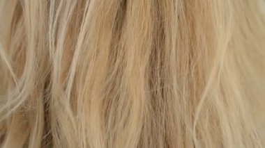 Sarışın kadın saçı beyaz arka plan ve doku soyut