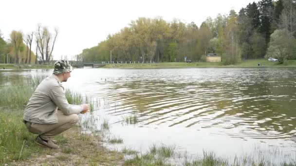 Homem alimenta patos em um lago em uma floresta — Vídeo de Stock