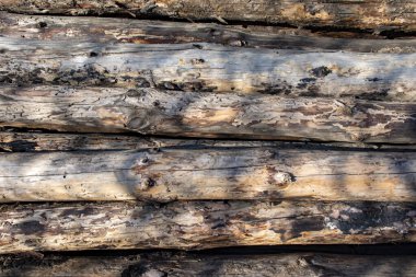 Doğal dokusu olan ahşap arkaplan, metin için yer.