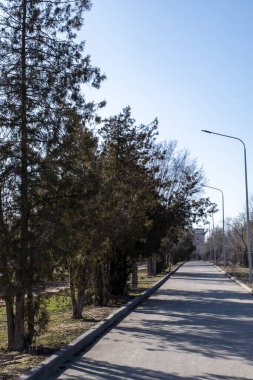 Park, şehir eğlence parkı, kaldırım, banklar ve ladin..