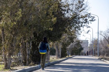 Park, şehir eğlence parkı, kaldırım, banklar ve ladin..