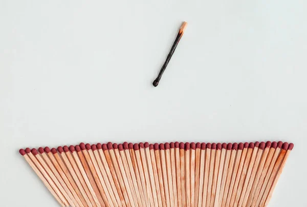 Matches on a white background, one burnt match among the whole.