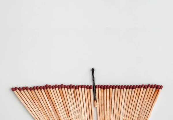 Matches on a white background, one burnt match among the whole.