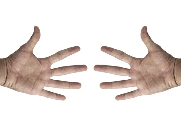 Hands Izolált Készlet Emberi Kéz Mutató Gesztus Izolátum Fehér Alapon — Stock Fotó