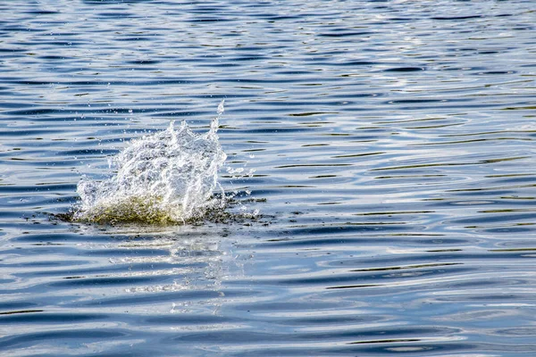 Des Éclaboussures Eau Mer Explosion Eau — Photo