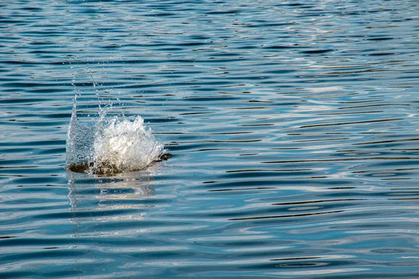 Splashes Water Sea Explosion Water Stock Picture