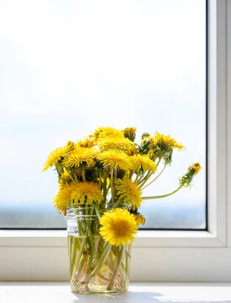 Yellow beautiful dandelions are on the white windowsill in the apartment in a glass jar.