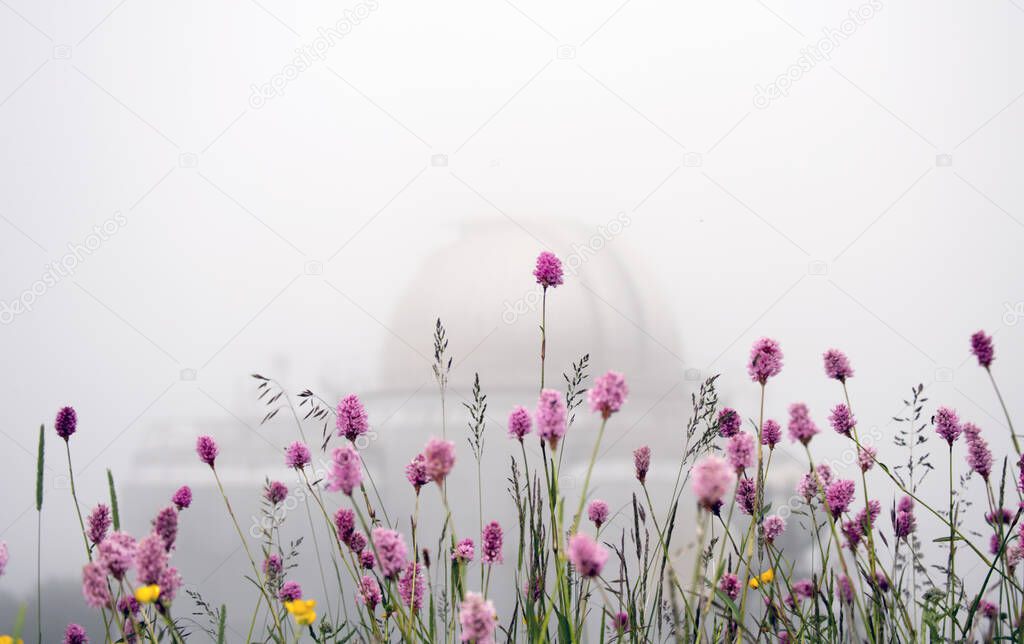 mountain clover on the background of the azimuth telescope building in Arkhyz