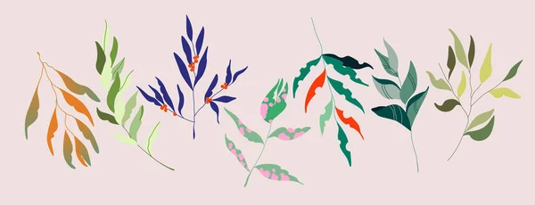 Fleurs vectorielles. Elégantes branches féminines douces et têtes de fleurs. Variété de botanique de jardin pour le web, app, motif et logo design. Illustration dessinée à la main . — Image vectorielle