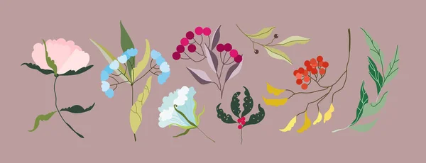 Vektorblumen. Elegante weiche weibliche Zweige und Blütenköpfe. Vielfalt der Gartenbotanik für Web, App, Muster- und Logodesign. Moderne handgezeichnete Illustration. — Stockvektor