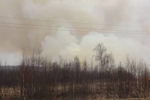 Pożar Farmie Ciężki Dym Płonącego Pola Wiosenny Dzień — Zdjęcie stockowe
