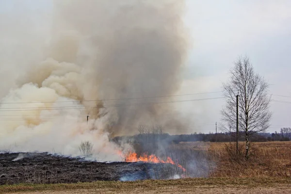 Tavaszi Égő Tűz Füstfelhő Száraz Tűz Gondatlan Kezelése — Stock Fotó