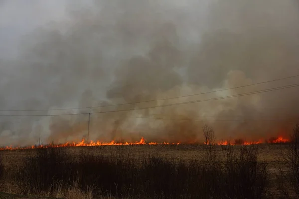 Campo Ardiente Hierba Seca Línea Fuego Con Humo Pesado Horizonte — Foto de Stock