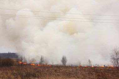 Yüksek voltajlı kabloların altında yanan kuru ot tarlasında büyük duman bulutu, hava gücü hattı tahribatı
