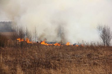 Yanan çimenlik alanda dumanlı ateş