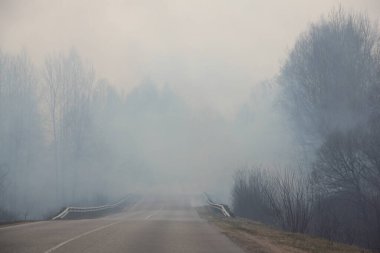 Yolda duman, kırsal alanda ekolojik felaket