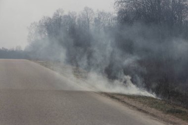 Kırsal yolda yol kenarından duman, vahşi ateş