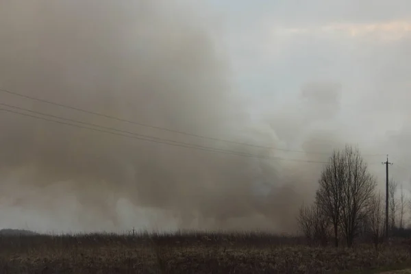 Grande Fumée Horizon Sur Champ Herbe Bord Désastre Écologique Jour — Photo
