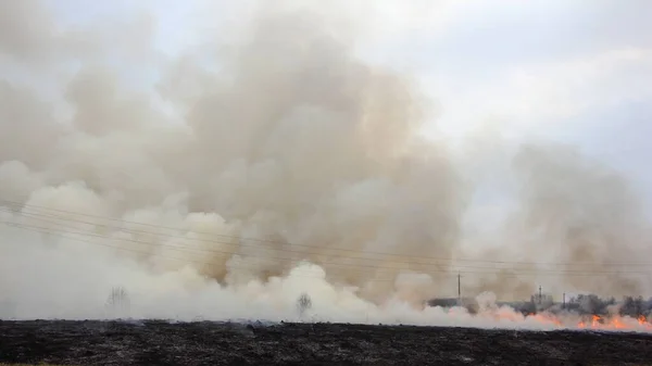 Gran Humo Prado Hierba Ardiendo — Foto de Stock