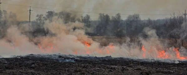 Fuego Con Humo Campo Hierba Ardiente Vista Panorámica — Foto de Stock