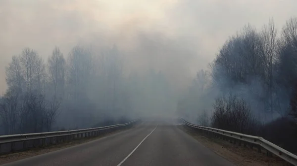 Smoke on the road, through the burning forest drive limited visibility