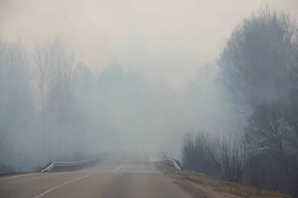Smoke on the road, ecological disaster rural landscape