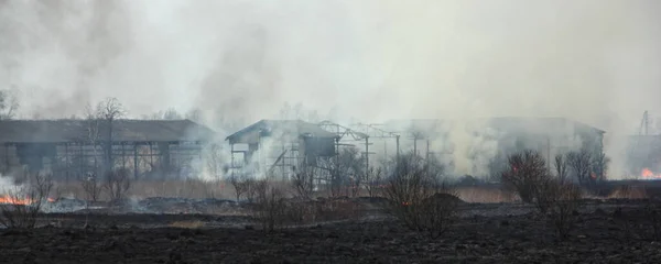 Пожар Заброшенной Ферме Панорамный Вид Сквозь Дым Пепле — стоковое фото