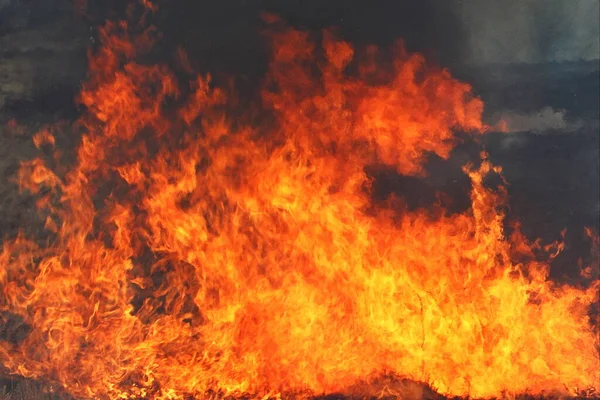 Gran Fuego Cerca Cenizas Fondo Del Campo Quemando Peligro Hierba —  Fotos de Stock