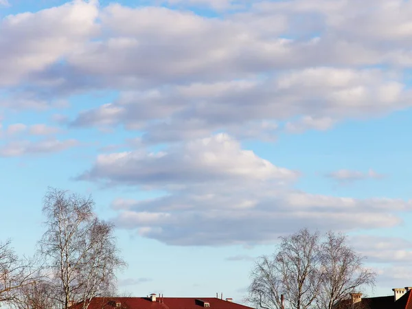 Krásné Mraky Modrá Obloha Nad Vrcholky Holých Stromů Červené Střechy — Stock fotografie