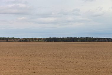 Bir bahar günü mavi gökyüzüne karşı güzel, kahverengi tarlalı tarla manzarası arazi ekimi, tarım, kırsal yaşam