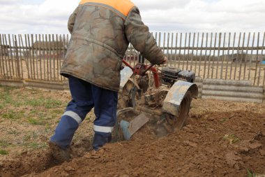 Motorlu ekicinin ektiği tarlalar ekilmeden önce, sıcak iş elbiseleriyle çiftçi, toprak işçileri sürükler.