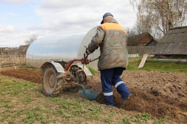 Patates ekmek, çiftçilik, iştiraki çiftçilik için çiftçilerle tarla ekimi.