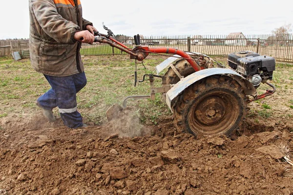 Gyökérnövények Ültetése Vidéken Mezőgazdaság Egy Idős Farmer Dzsekiben Felszántja Kertet — Stock Fotó