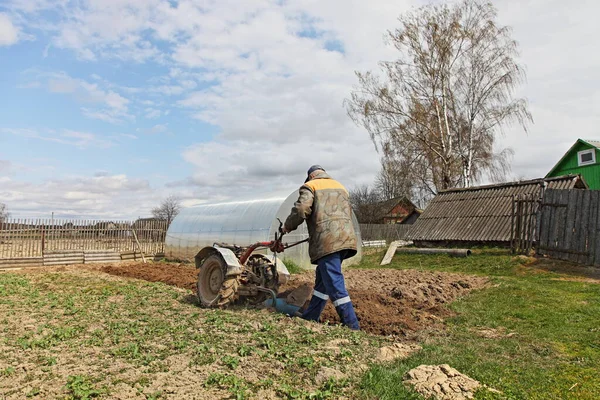 Avrupalı Yaşlı Bir Erkek Çiftçi Bir Bahar Günü Bir Seranın — Stok fotoğraf
