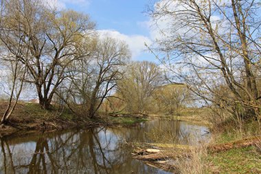 Küçük orman nehir kıyısındaki güzel çıplak ağaçlar ve sakin sularda yansıyan mavi gökyüzü arka planda güneşli bahar gününde, kırsal doğa manzarası