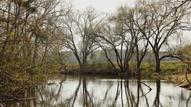 Güzel, küçük orman nehri kıyıda çıplak ağaçlarla dönüyor ve bahar günü sakin sularda yansıyor, doğa manzarası.
