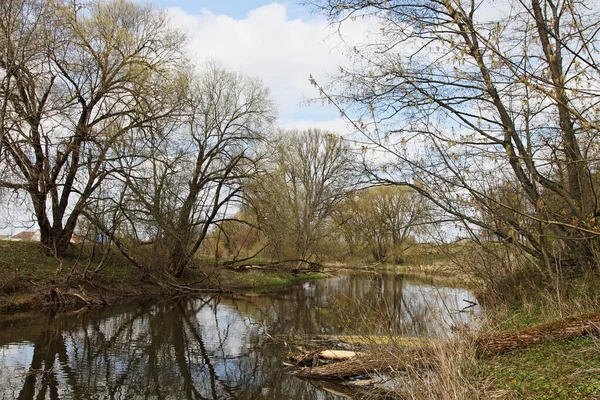 Hermoso Río Pequeño Bosque Con Árboles Desnudos Las Orillas Reflexión — Foto de Stock