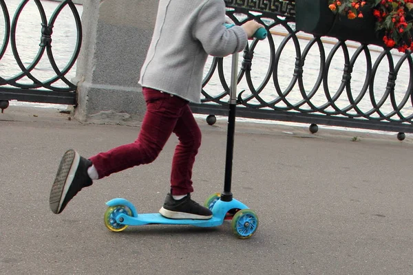 Одна Дитина Їде Триколісному Скутері Вздовж Паркану Набережній Сонячний Літній — стокове фото