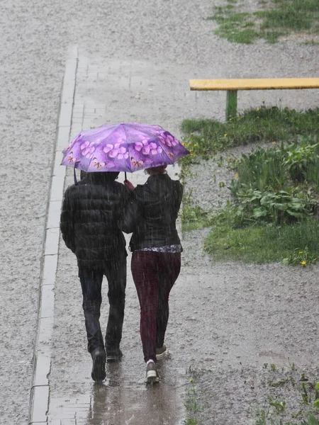 Gente Empareja Ropa Oscura Bajo Paraguas Rosa Color Unen Largo — Foto de Stock