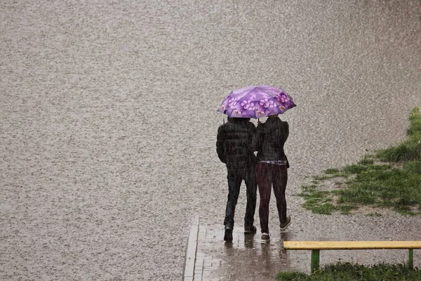 Egy Férfi Egy Zakóban Egy Orgona Esernyő Alatt Sétálnak Végig — Stock Fotó