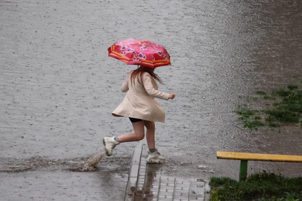 Одна Девушка Коротком Легком Пальто Цветным Зонтиком Бежит Через Огромную — стоковое фото